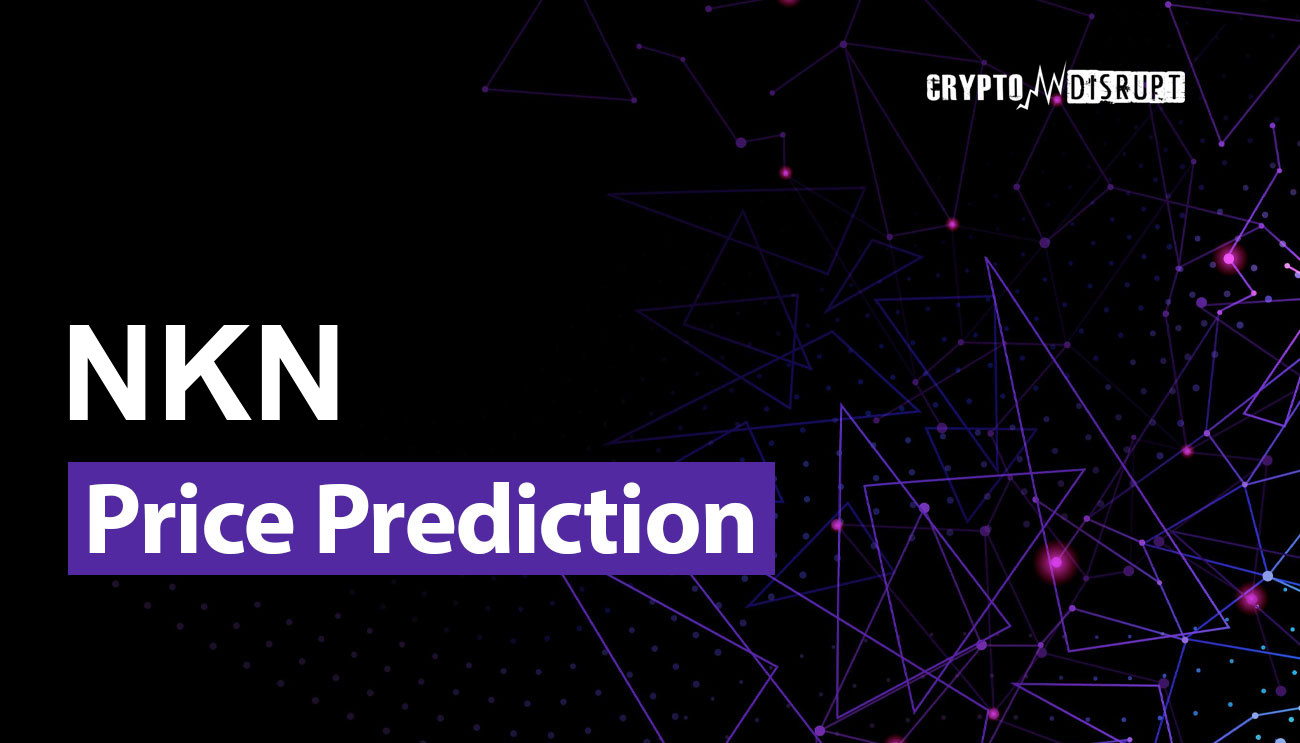 NKN (NKN) Price Prediction – 2024 2025 2030 2040 2050