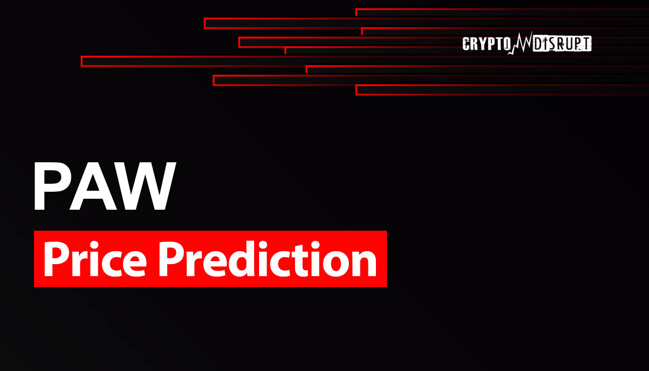 PAW Fiyat Tahmini 2024 - 2050 – PAW ne kadar yükselecek?