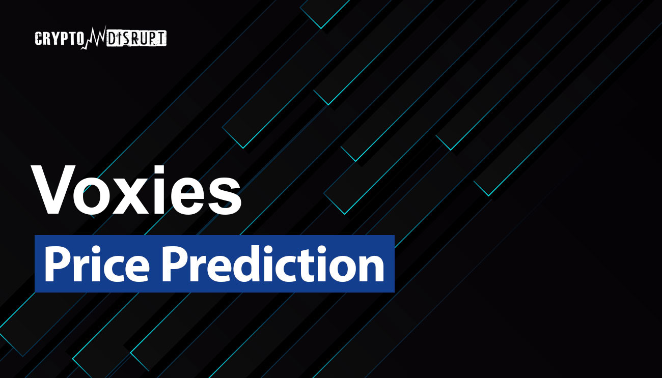 Voxies Prognozy 2024-2030, 2040, 2050 VOXEL Perspektywa długoterminowa